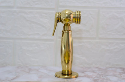 Kitchen Sprayer - Brass Sprayer